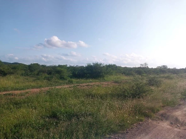 1 Ha Agro-Residential Plots For Sale