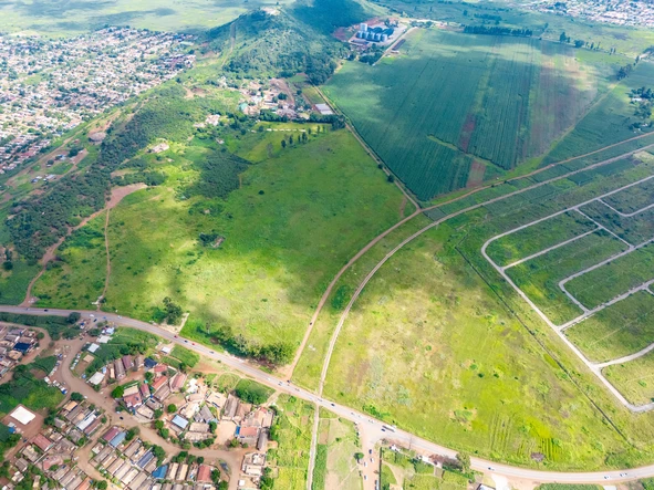 Stands & Residential Land