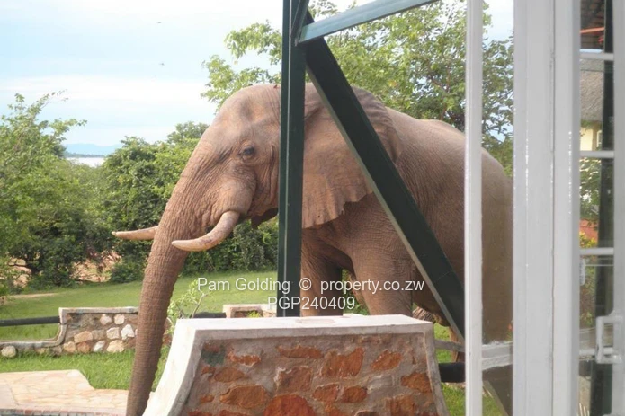 Nzou Lodges- The Kariba Escape (Sole Mandate)