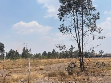 Commercial & Industrial Land