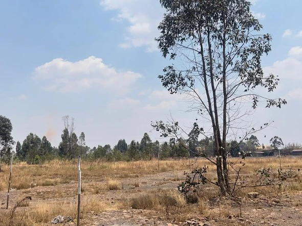 Commercial & Industrial Land