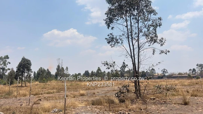 Industrial Stands for Sale   at $125/sq m  - Ranging in Size from an Acre to almost 2 Hectares