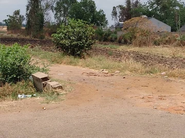 Stands & Residential Land