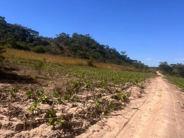 Farm & Agricultural Land