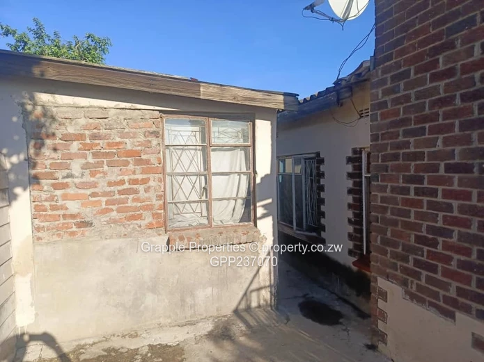 Highfields Western Cannan 