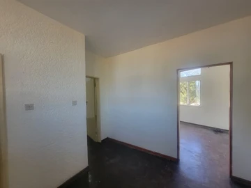 Flat & Apartment
