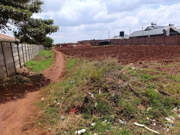 Stands & Residential Land