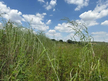 Farm & Agricultural Land