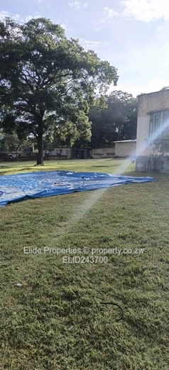 10ha Marondera Farm — Dam, Orchard, Vineyard & Homestead (Sole Mandate)