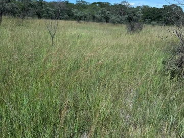 Commercial & Industrial Land