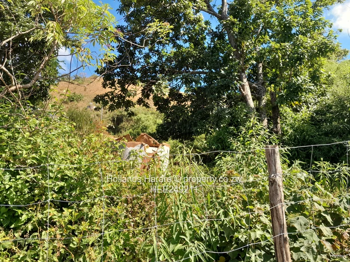 Vumba