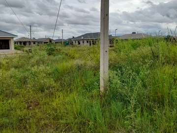 Stands & Residential Land