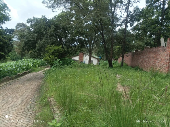 Stands & Residential Land