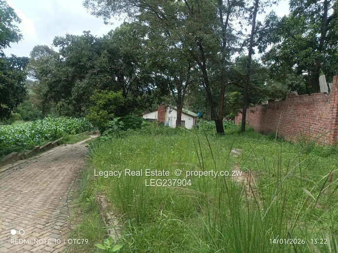 Glen Lorne Estate Property with Deeds ,Golden Oldie on Expansive Land,Ideal for Redevelopment