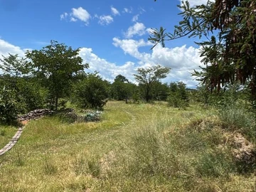 Farm & Agricultural Land