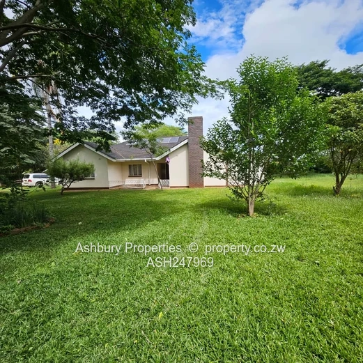 Compact Cosy Rental House Readily Available (Sole Mandate)