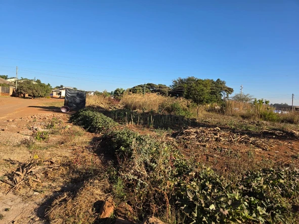 Stands & Residential Land