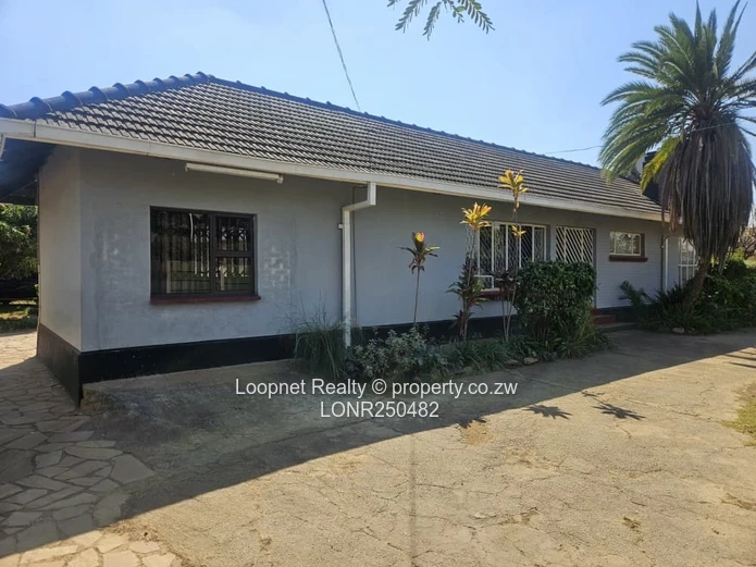 Spacious 300 sqm Office on 500 sqm with Borehole – Eastlea