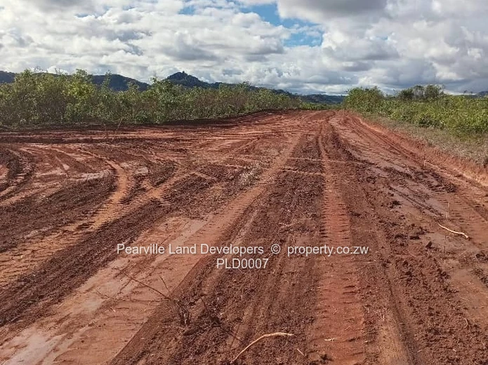 Stands 5km from pa Nyika, just near Pambudzi. 