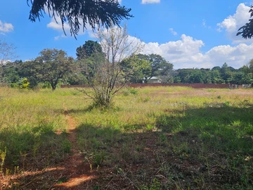 Land