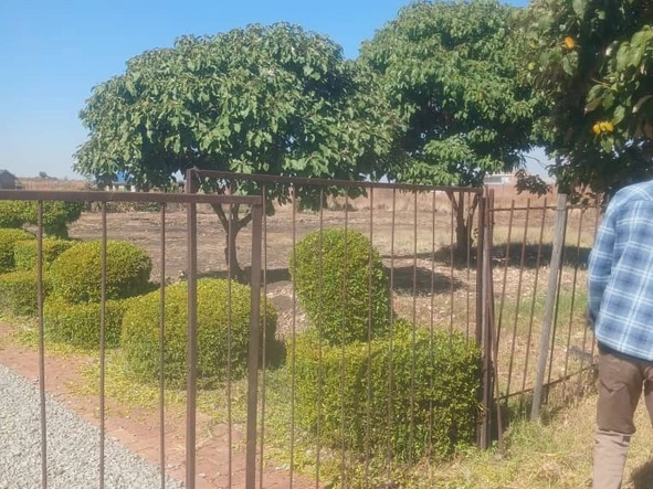 Stands & Residential Land