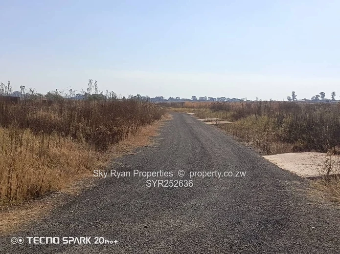 Nyeredzi Pomona Stand For Sale