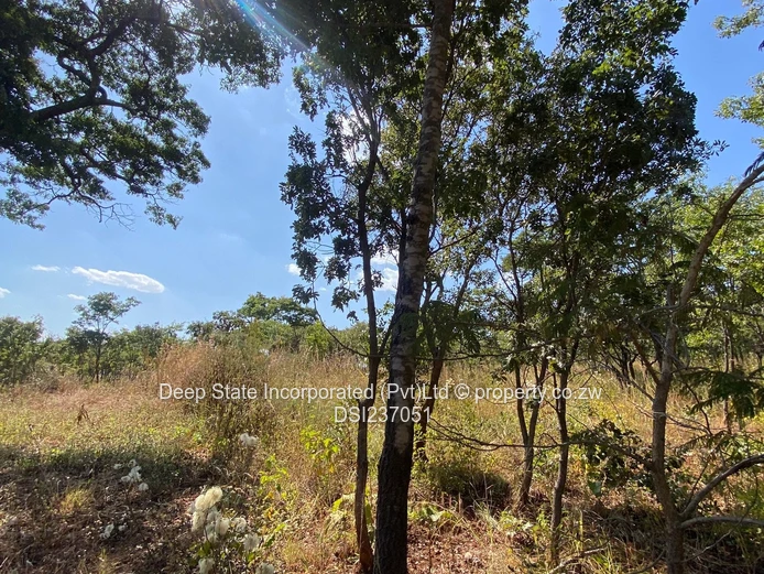 Gletwin stand for sale 