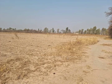 Farm & Agricultural Land