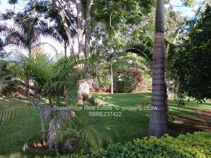 Elegant 3 Bedroomed Famona house to rent