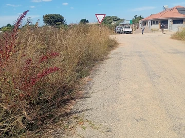 Commercial & Industrial Land
