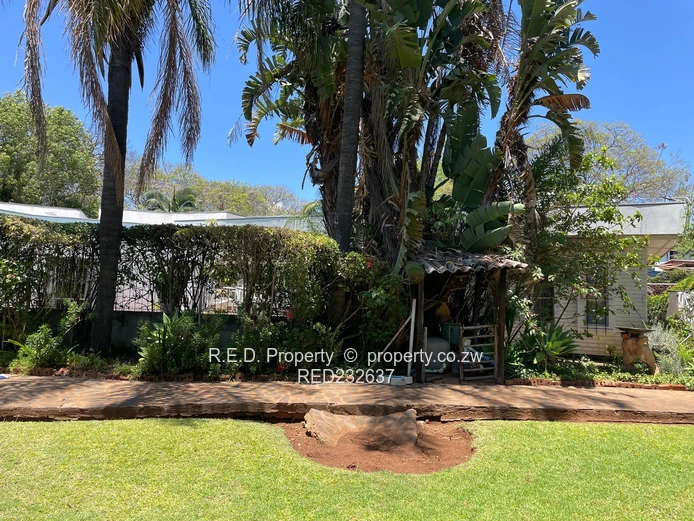 A Neat Family Home with Excellent Investment Potential