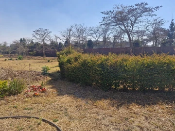 Stands & Residential Land
