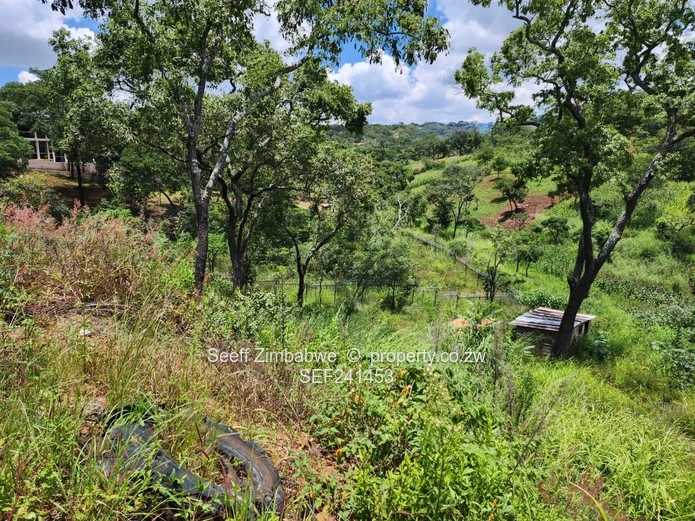 Elevated Luxury: Prime Residential Sanctuary in Shawasha Hills Estate
