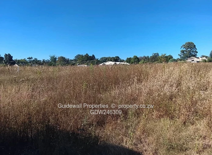 5000sqm stand for sale in Blufhill
