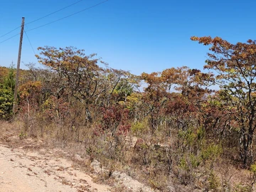Nyanga Land for Sale