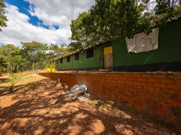 Farm & Agricultural Land