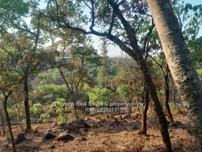 Preferred Investment