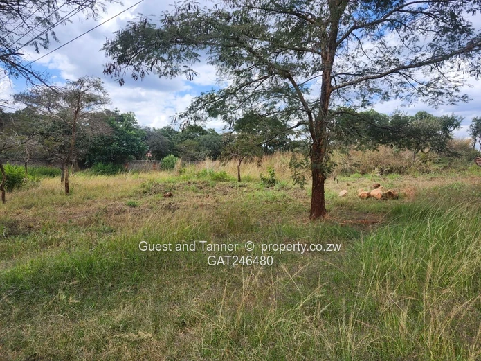 4 Gletwin Park Residential Stands For Sale