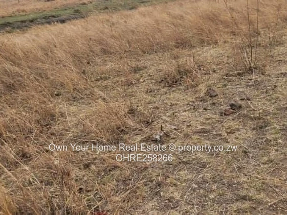 Nyabira Stand For Sale