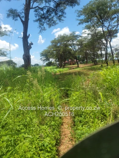 Glenforest agro residential plot 