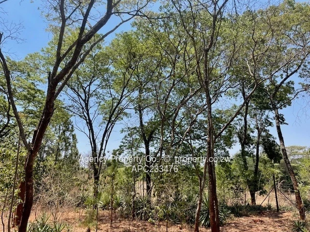 New On The Market - Ideal Investment - 