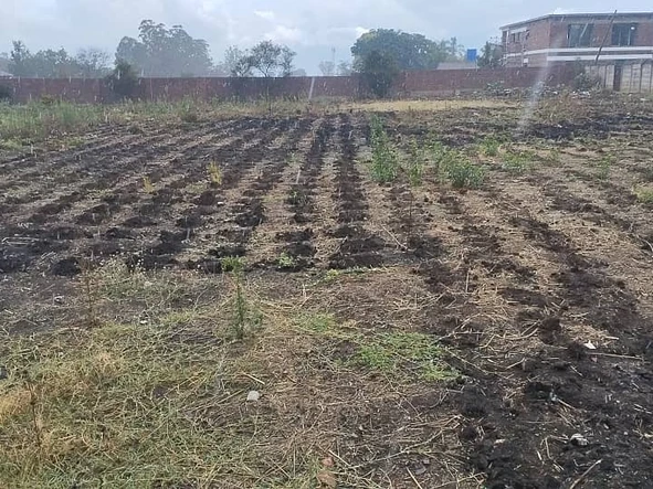 Stands & Residential Land