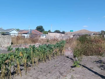 Land