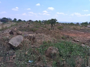 Stands & Residential Land