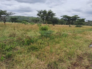 Prime 500 m² Glen Lorne Land for Sale - Ideal for Your Dream Home!