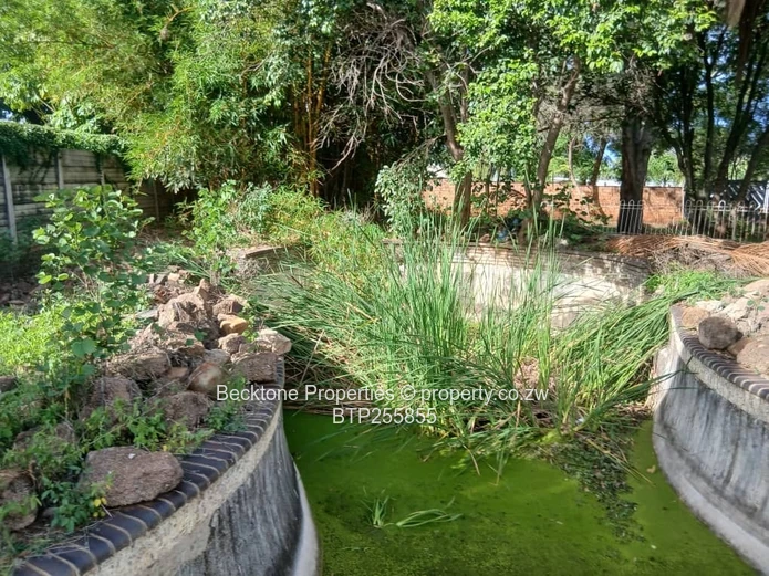 Kumalo 4-Bed House on 2500m² with Pool & Borehole