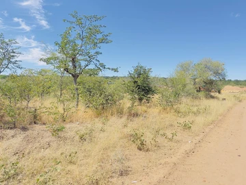 Commercial & Industrial Land