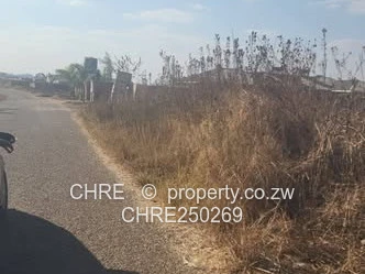 Mwashuma Park Stand For Sale