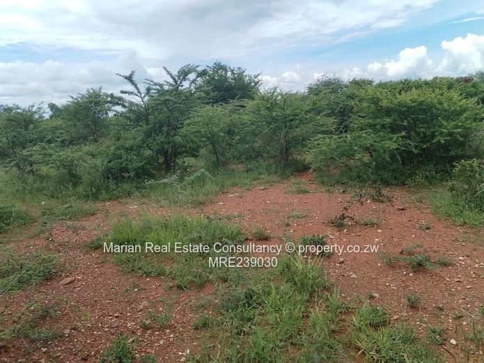 Riverside South, Stand FOR SALE