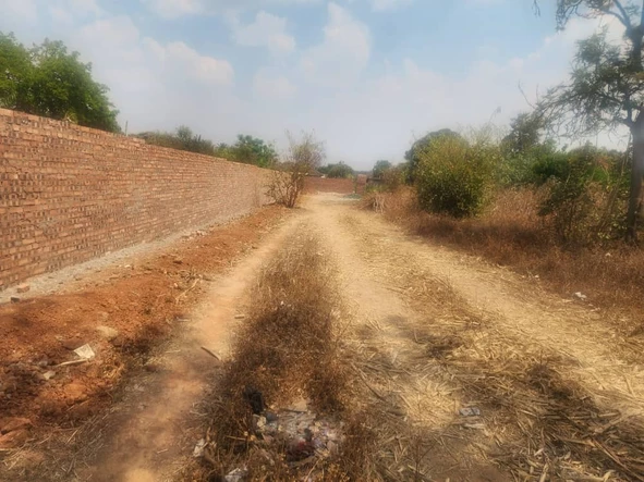 Stands & Residential Land